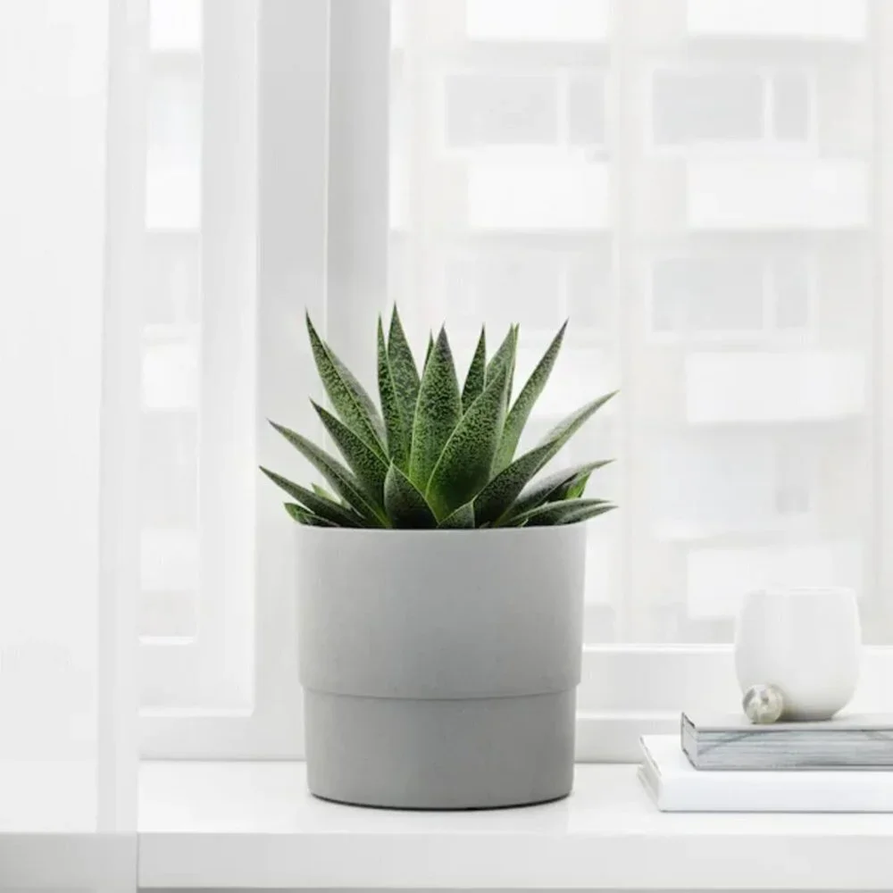Ikea Nypon Gray Plant Pot